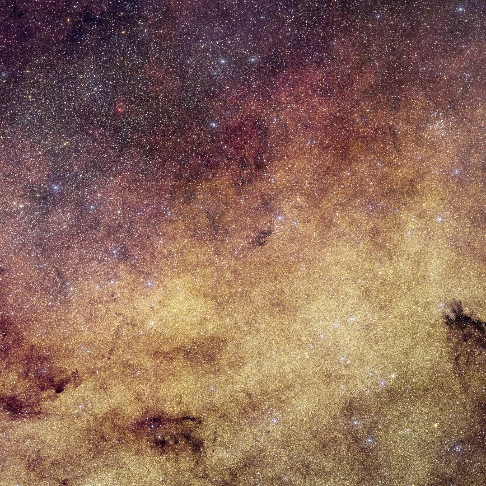 Vue du bulbe de la Voie lactée réalisée par Euclid. Des millions d'étoiles forment un vaste fond doré occupant la majeure partie de l'image. Des nuages de poussière sombres découpent certaines régions, tandis que des teintes rougeâtres et violacées apparaissent dans la partie supérieure. Quelques étoiles bleutées ponctuent l'ensemble.